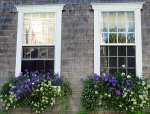 window-boxes-06..jpg