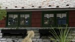 window-boxes-05..jpg