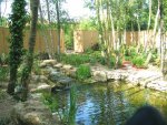 natural-pool-04..jpg