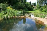 natural-pool-06..jpg