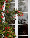 small_1220602324.n&amp;.jpg