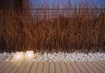 ntree-landscapin&amp;#10.jpg