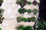 crackgarden-01..jpg
