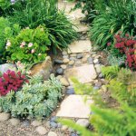Appealing-Path..jpg