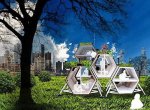 walking_house6..jpg